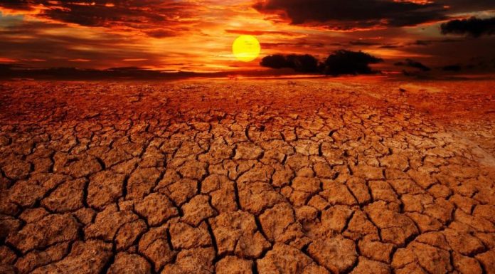 Réchauffement climatique: La Tunisie en zone rouge, selon un climatologue!