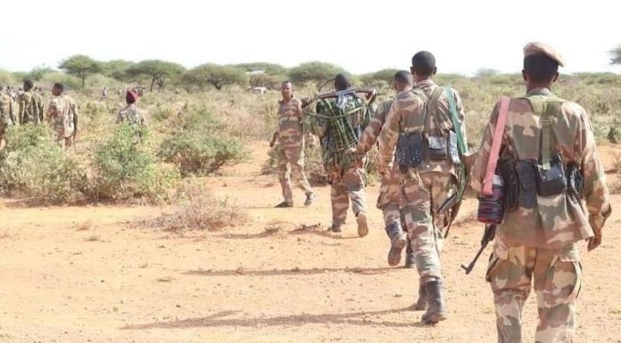 Corne de l’Afrique : Des militaires turcs en Somalie pour la lutte contre le terrorisme