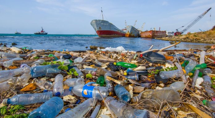 Le Tunisien consomme 0,11 kilogramme de plastique chaque jour