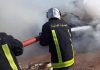 Jendouba : Un incendie de forêt maîtrisé dans la région de Brirem à Tabarka