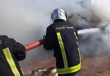 Jendouba : Un incendie de forêt maîtrisé dans la région de Brirem à Tabarka