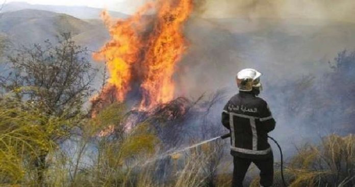 La protection civile participe à l’extinction d’un incendie sur le sol algérien
