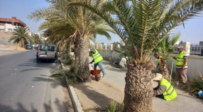 Gabès : Campagne de collecte de déchets ménagers et de construction