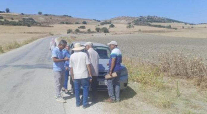 Bizerte : Récupération de terrains domaniaux d’une superficie totale de 53 ha à Mateur