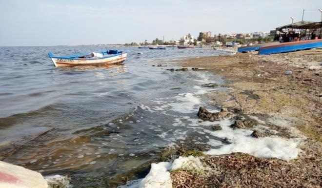 Golfe de Monastir: Le FTDES appelle à déclarer l’état d’urgence environnementale suite «à une nouvelle catastrophe environnementale»