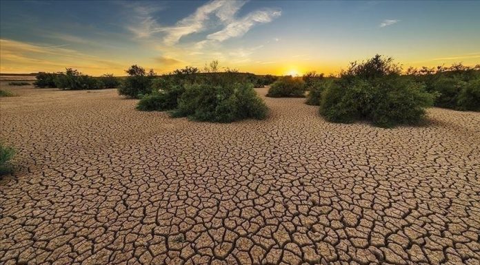 Changement climatique : Des enjeux d’adaptation à foison