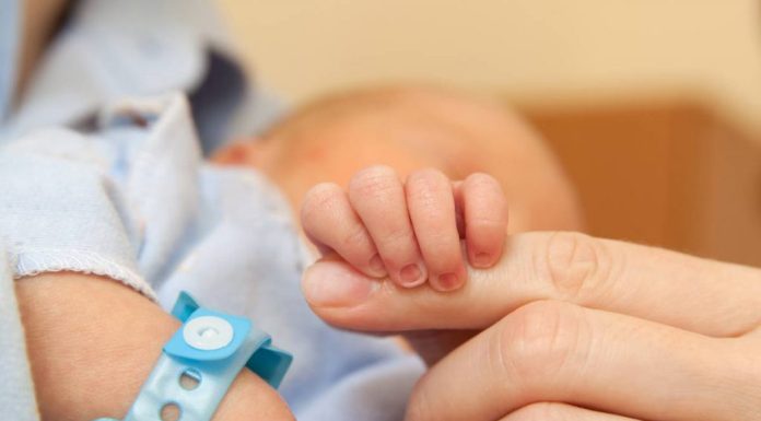 Publication de la nouvelle loi sur les congés de maternité dans le Jort