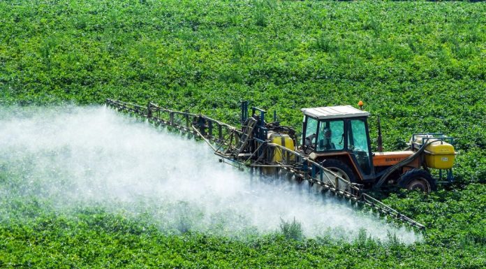 Pesticides toxiques : Une bombe à retardement?