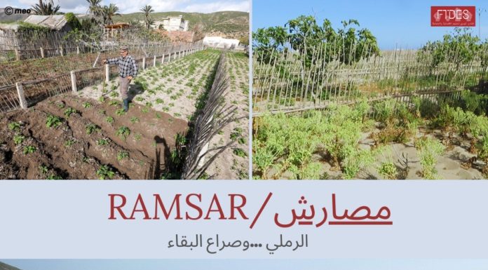 Ardent plaidoyer pour la sauvegarde des cultures Ramli