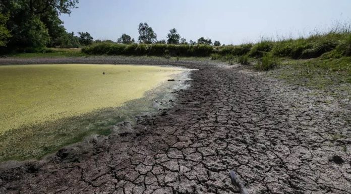 Les nappes phréatiques près de se tarir, alerte un expert
