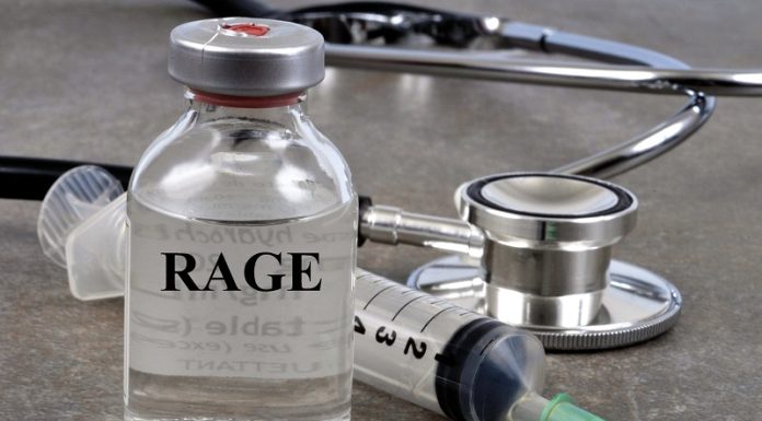 Voici les 9 nouveaux points de vaccination contre la rage
