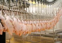 Y a-t-il une pénurie de viande de poulet?