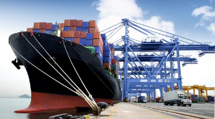 Un potentiel d’exportation inexploité de la Tunisie vers l’Inde de 222 MUSD
