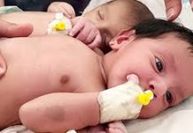 Les bébés meurent de froid à Gaza