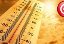 Novembre 2024, est le mois le plus chaud depuis 1950 !