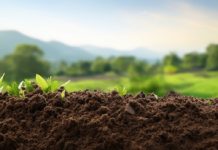 Lancement du projet « SoilFER- VACS » pour la gestion intégrée des sols
