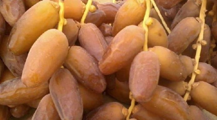 Rompre le jeune avec des dattes c’est un choix sain et équilibré