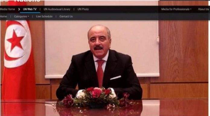 Nafti aux travaux de l’UA à Addis-Abeba à propos de «garantir un accès durable à l’eau »