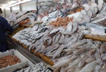 Balance commerciale : Les produits de la pêche en haut de panier