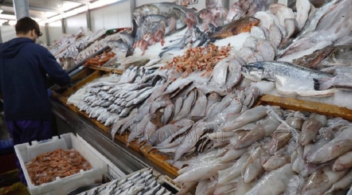 Excédent de la balance commerciale des produits de la pêche de 9,1 MDT