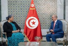 Nafti reçoit la cheffe de la Mission d’appui de l’ONU en Libye