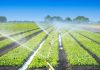 Agriculture irriguée : réunion à Tunis pour garantir la rentabilité des projets dans quatre gouvernorats