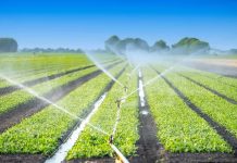 Agriculture irriguée : réunion à Tunis pour garantir la rentabilité des projets dans quatre gouvernorats