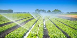 Valorisation de 70 % des eaux usées, à des fins agricoles