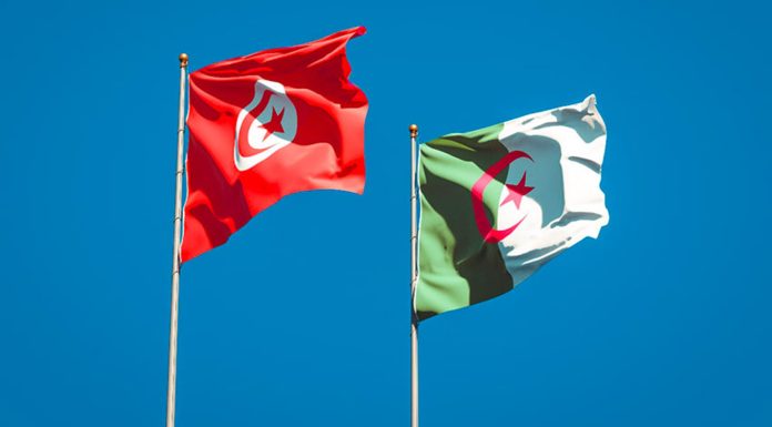 AgriTech : Un B-to-B tuniso-algériennes le 18 mai à Alger