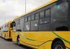 4 nouvelles lignes spéciales de bus desserviront des plages situées dans le Grand Tunis
