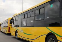 4 nouvelles lignes spéciales de bus desserviront des plages situées dans le Grand Tunis