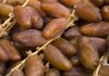 hausse de 5,6% des exportations et recettes de dattes