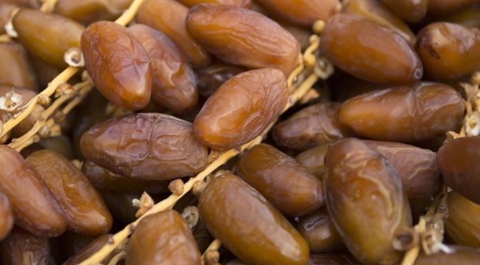 Tozeur : Point de vente des dattes, du producteur au consommateur, jusqu’au 28 décembre