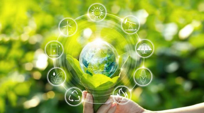 Plus de 100 acteurs de 10 pays réunis à Tunis pour dynamiser l’entrepreneuriat vert en Méditerranée
