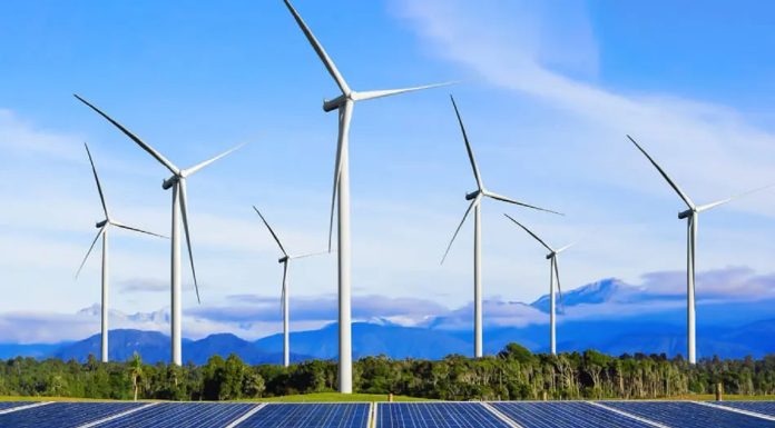 Le financement participatif, pilier de la transition énergétique