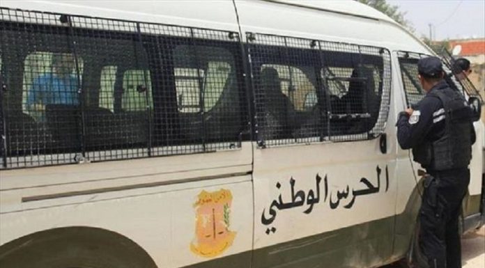 Nabeul : Démantèlement d’un réseau de trafic de dogues