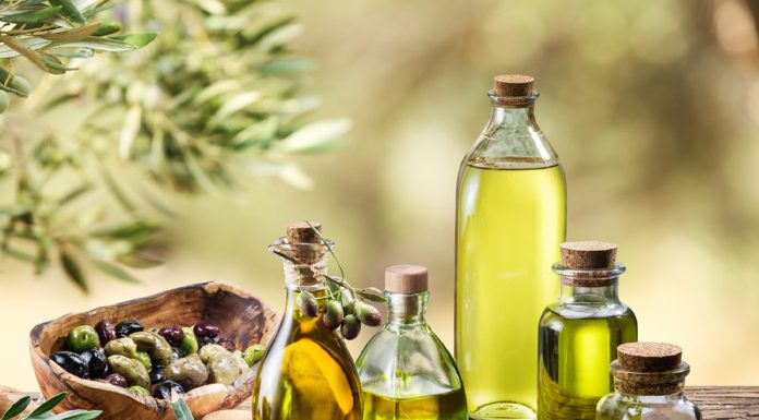 Dhaoui Midani dénonce le prix de référence de l’olive