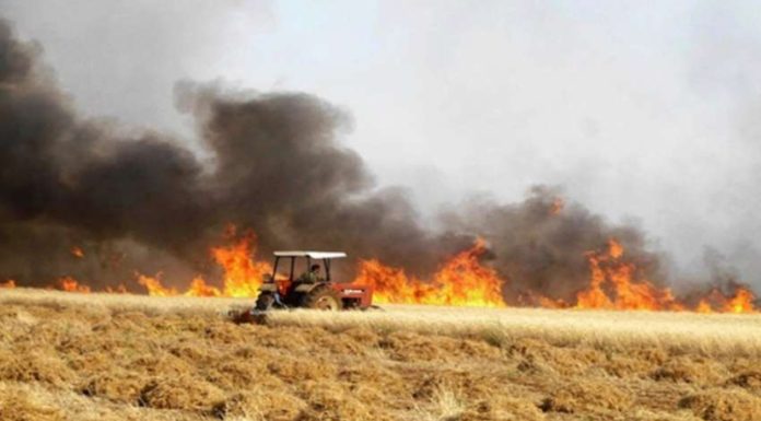 10 hectares de céréales ravagés à Chouigui, le feu maîtrisé