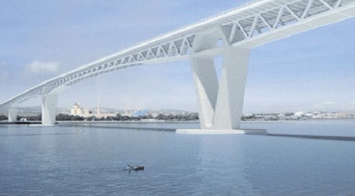 Zouari aux Chinois : Plus de ressources et le pont pour l’été