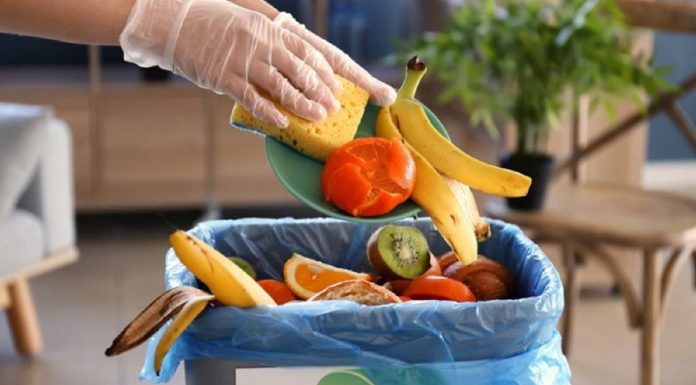 Gaspillage alimentaire en Tunisie : 172 kg par personne et par an