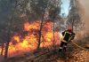 Feux de forêt : Les sinistrés sont-ils dûment pris en charge ?