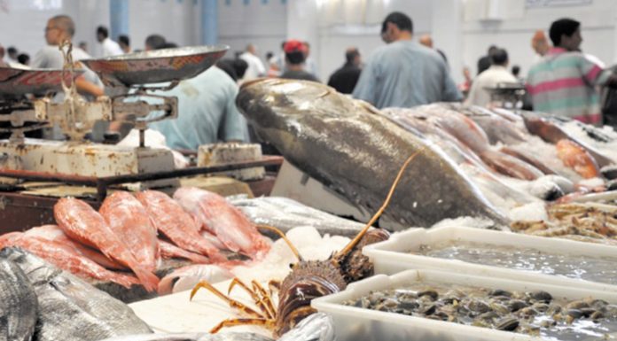 Les fruits et poissons tirent les prix à la hausse au marché de gros de Bir El Kassaa