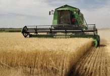 Béja : Démarrage de la saison de moisson dans six délégations