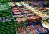 Fruits et légumes : les exportations tunisiennes vers l’Italie bondissent de 60 % en 2025