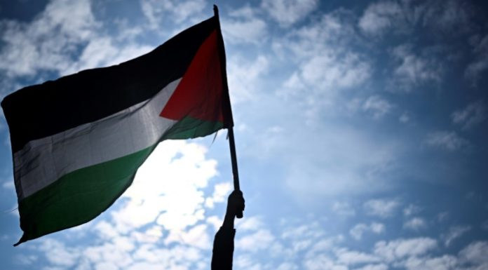 Rejet massif de tout lien entre la reconnaissance du Somaliland et le projet d’expulsion des Palestiniens