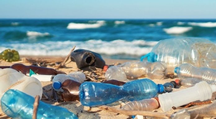 La pollution plastique progresse, les solutions locales en première ligne en Tunisie et en MENA