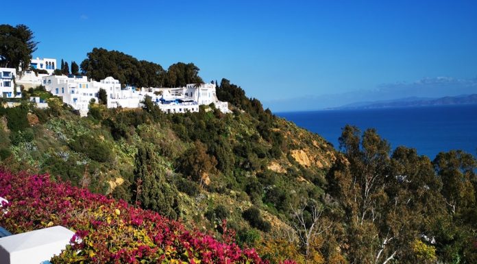 Examen du projet de protection de la colline de Sidi Bou Said contre les glissements de terrain