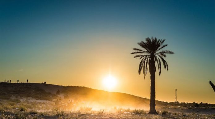 Kébili : Préparatifs avancés pour la saison touristique 2026