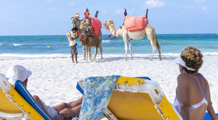 Hammamet : 15 mille touristes aux fêtes de fin d’année