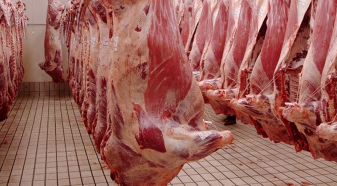 Manouba : 500 kg de viandes rouges impropres à la consommation